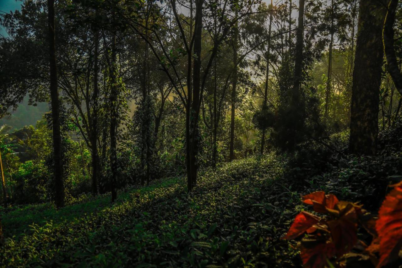 Southern Panorama Indriya Resorts & Spa Munnar Exterior photo